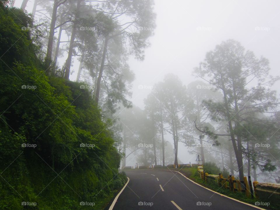 The Foggy Hill Road