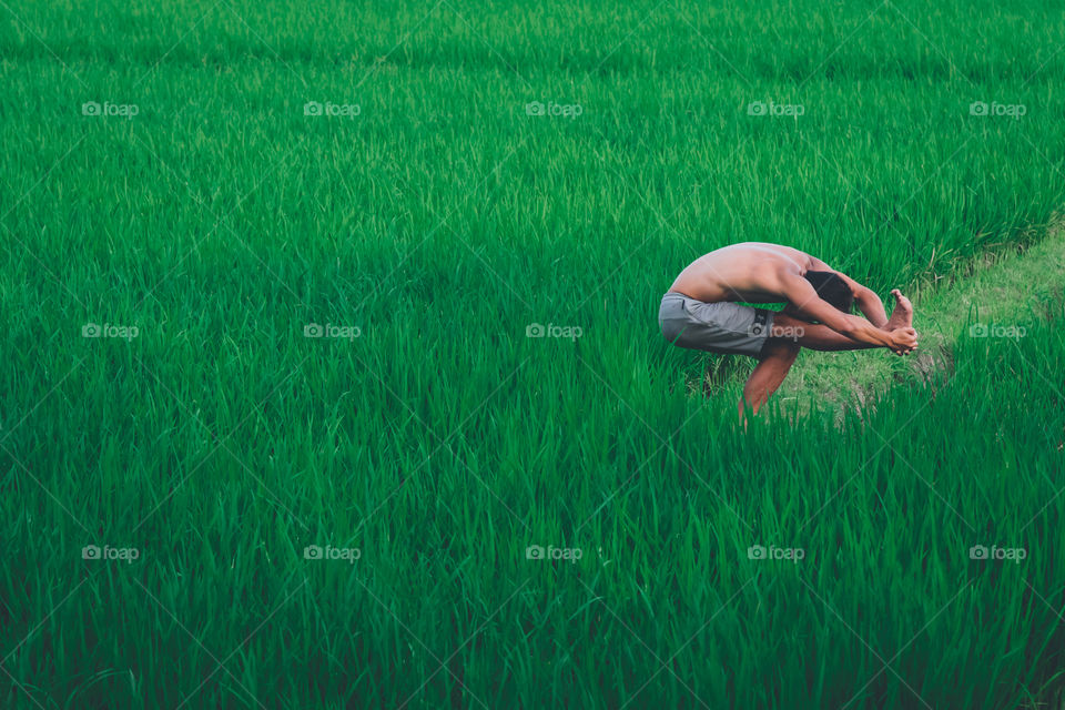 Yoga pose exercise in the middle of fresh green rice paddy field, Bali, Indonesia