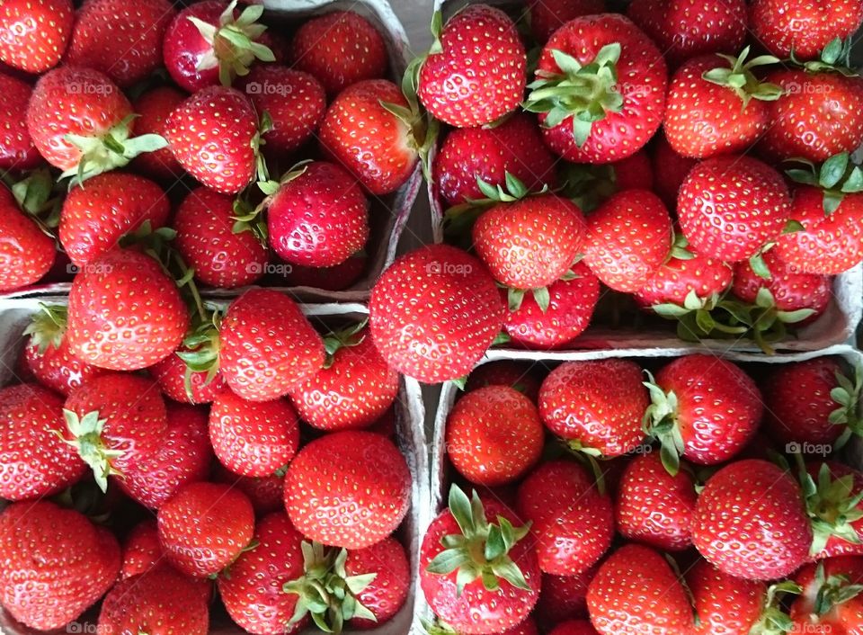 strawberries. swedish strawberries