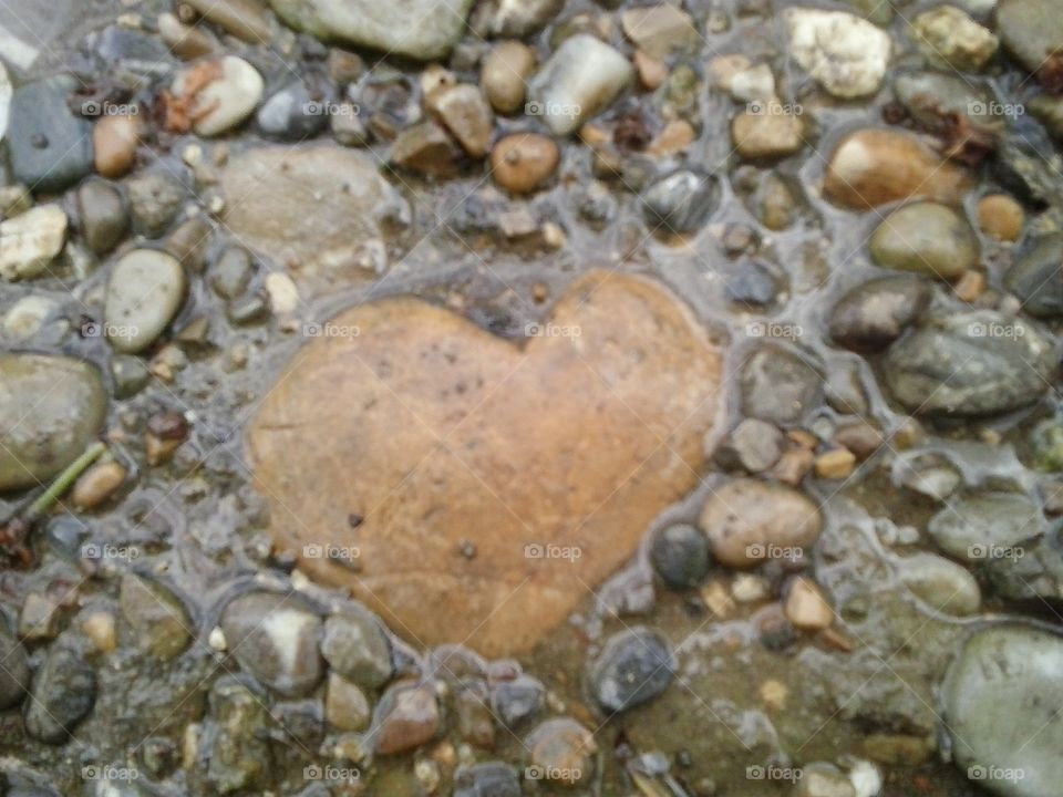 heart found
