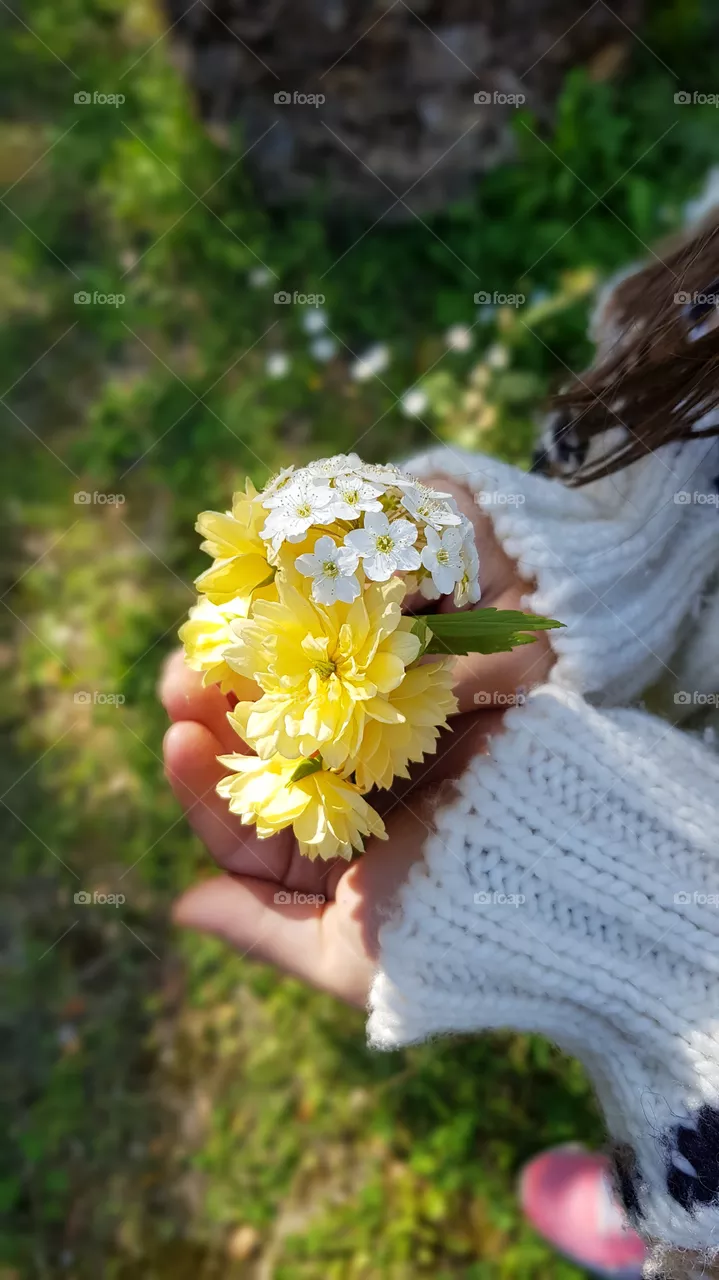 flowers