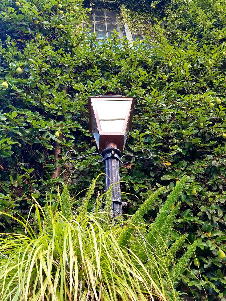 lamp post