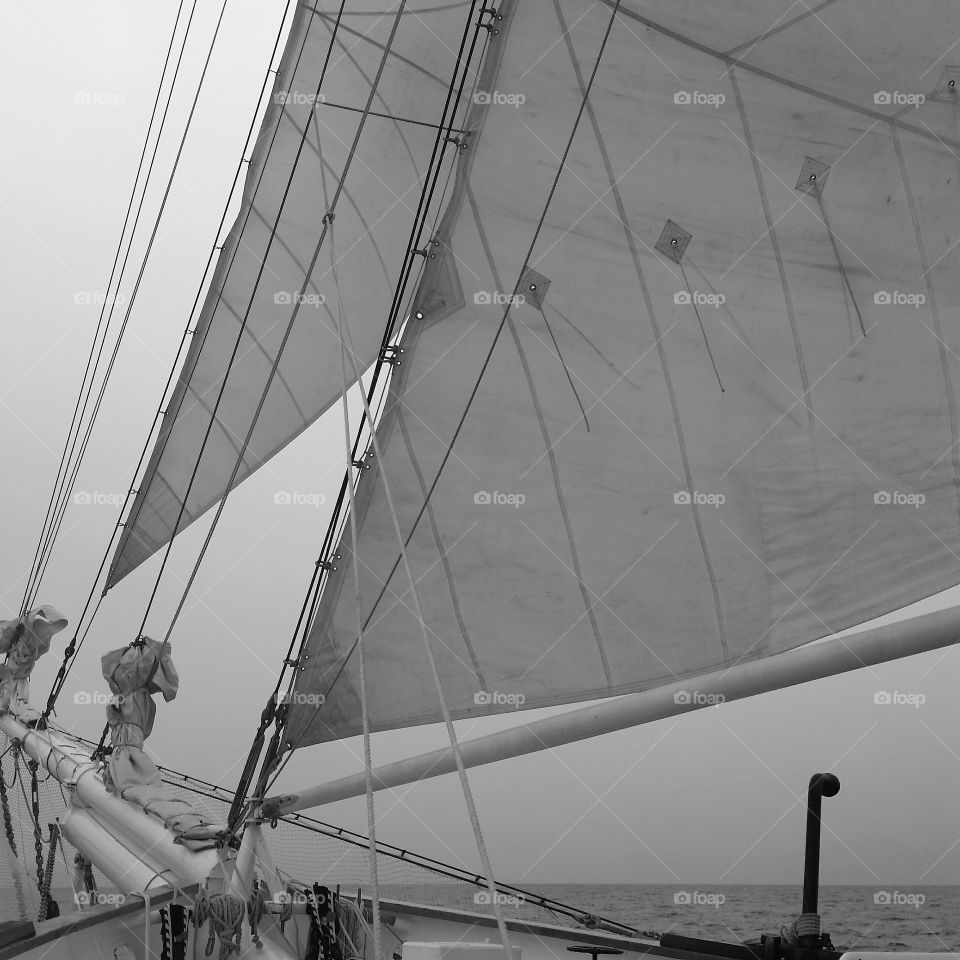 Rhumb line. Sailing in St. John USVI