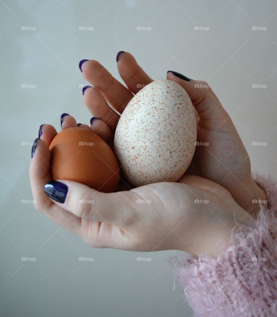 turkey and chicken eggs in hands