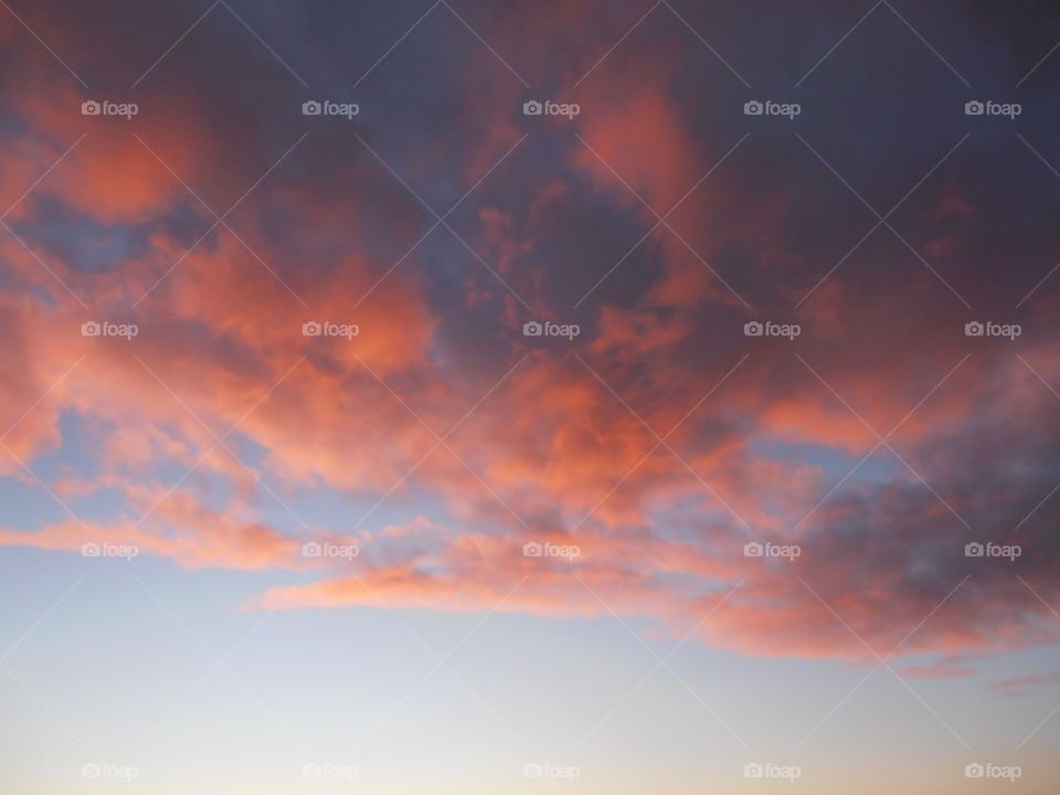 Pink Clouds At Dusk