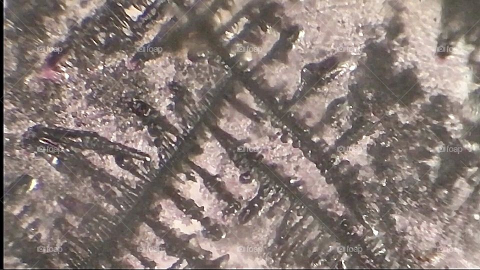 The same salt photographed thru the lens of a microscope camera at 1200 x magnification exhibits similar multiple branched off needles but the colors are reversed possibly due to a refraction effect of the light. 2017. Hypnotic Productions