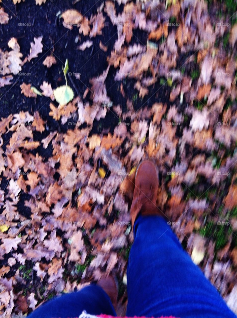 Walking at autumn