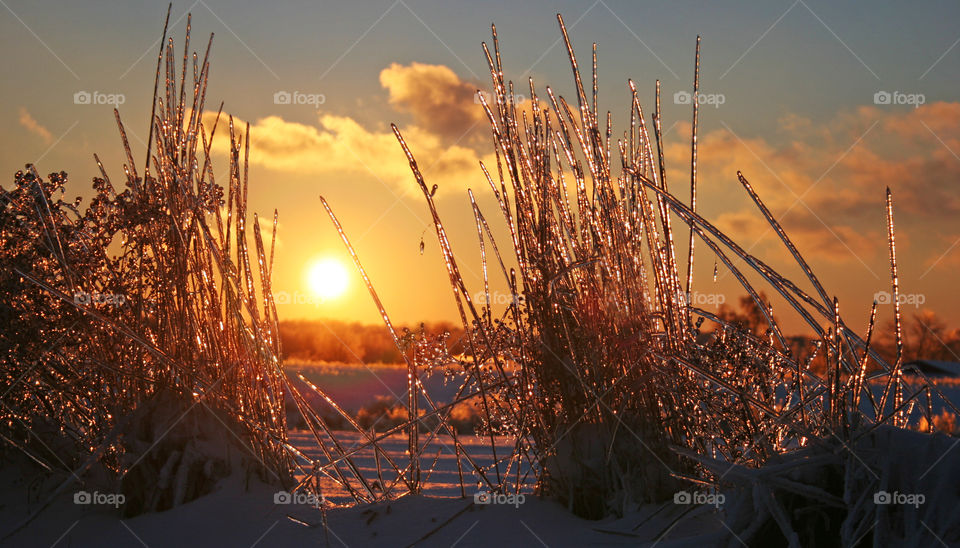 sunset through an ice covered field