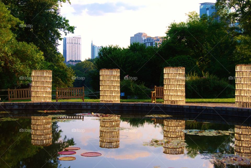 Reflections in the city park