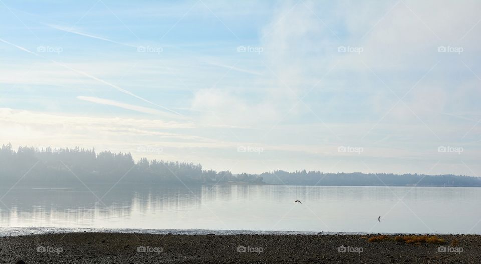 Fog and Reflection