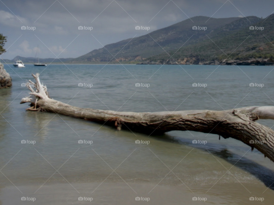 cala de forno beach view