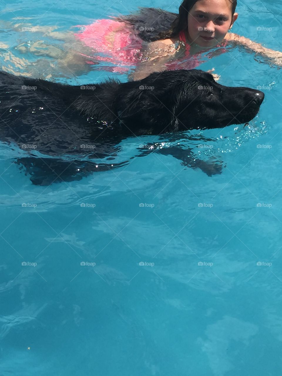 Girl and dog swimming in pool