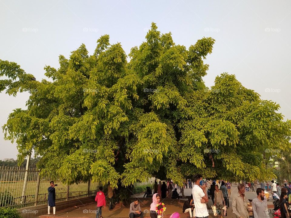 Editors' choice:Photo of the week