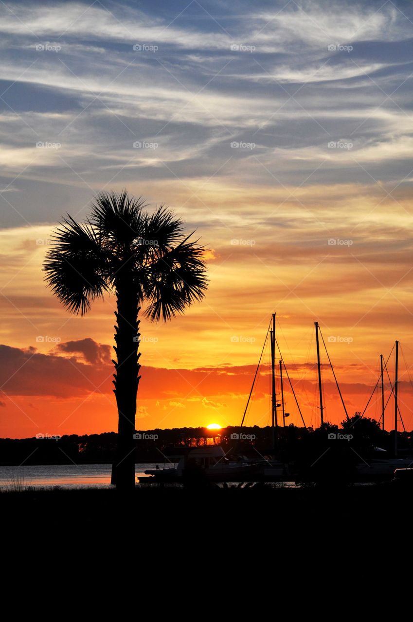 Sunset in Charleston South Carolina. 