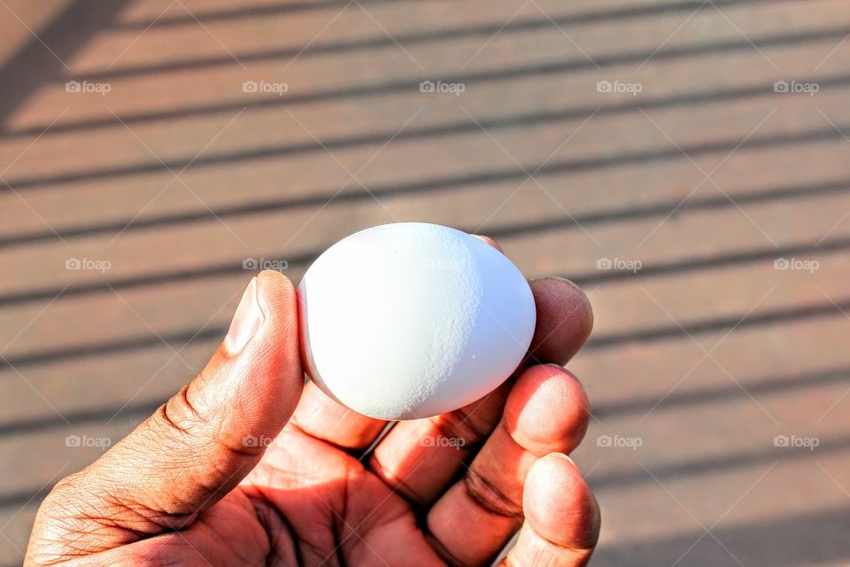 Holding egg outdoors