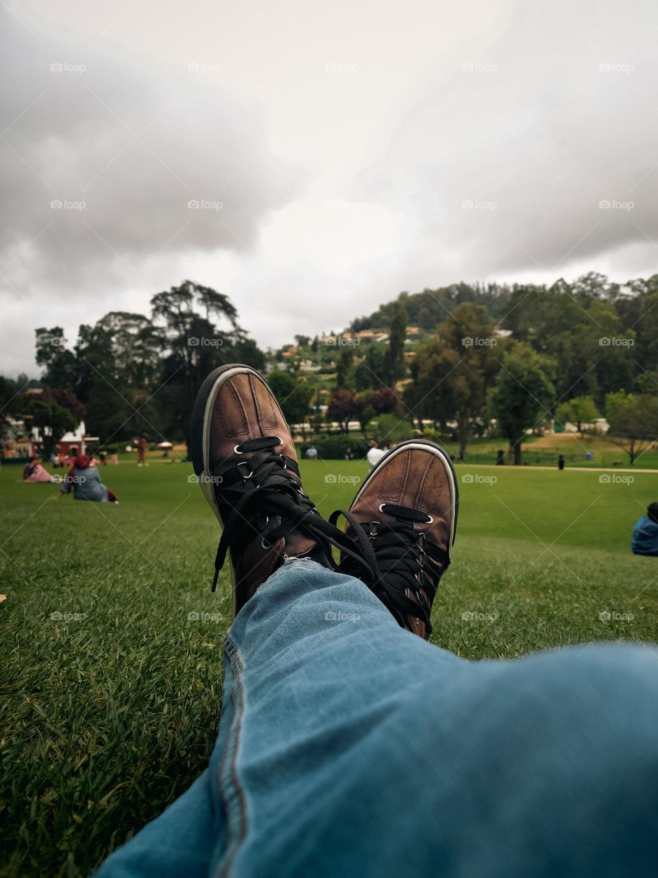 A Relaxing View In the Garden