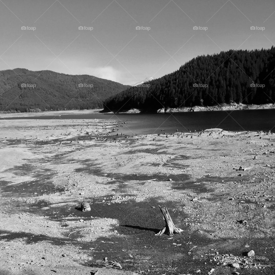 Detroit Lake in the forests of Oregon 