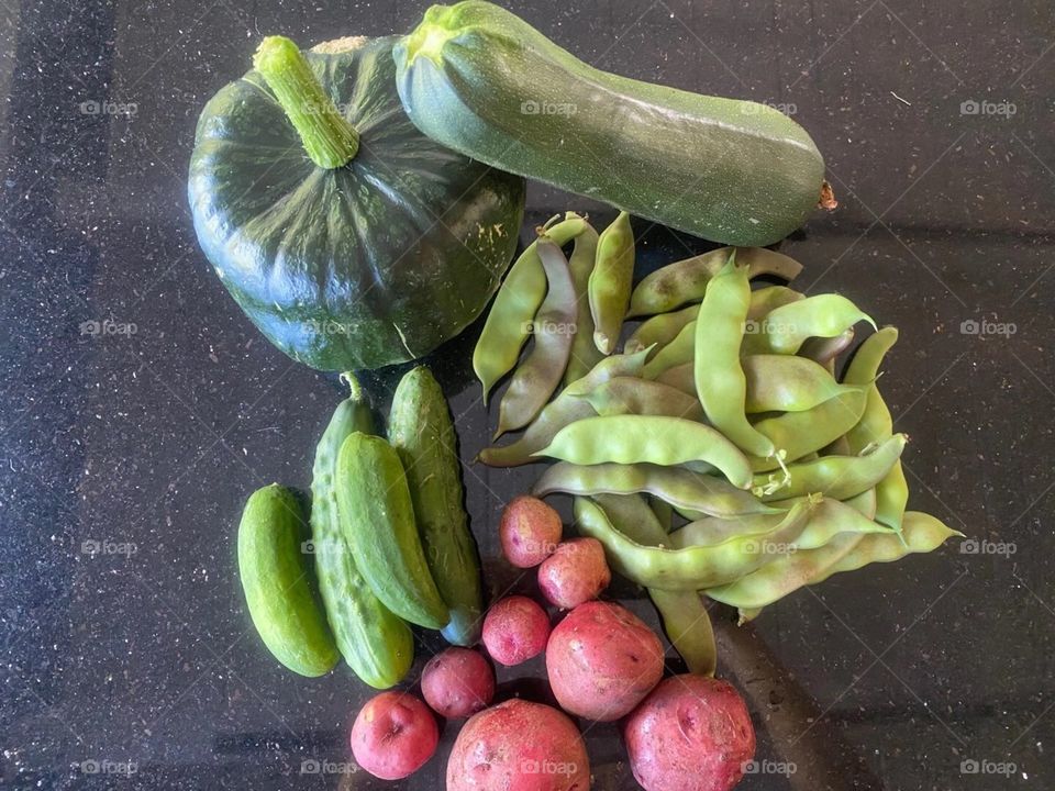 Harvest from our garden