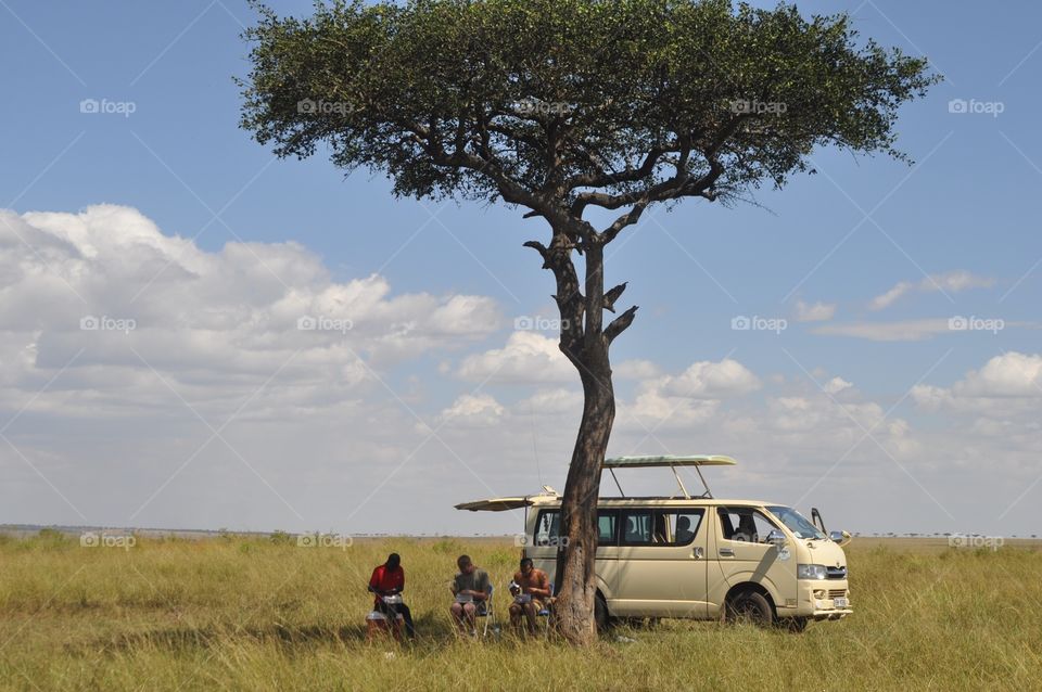 Masaai mara . Kenya most beautiful picnic site  