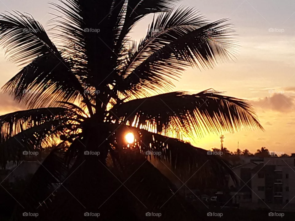 sunrise in the tropics