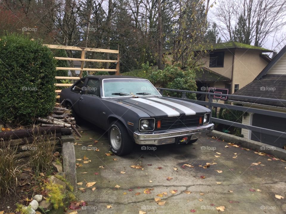 Vintage Camaro