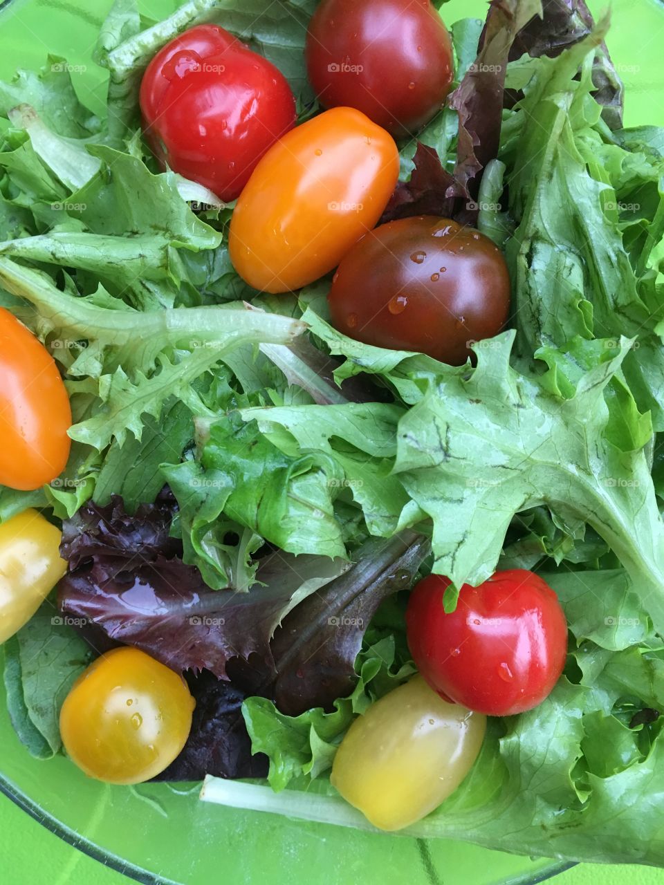 summer salad