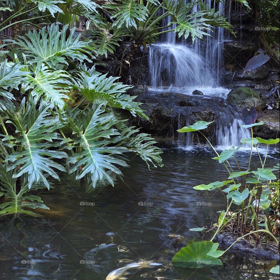Cascading waterfall surrounded by a green garden