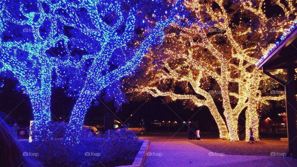 Christmas lights in Johnson City Texas