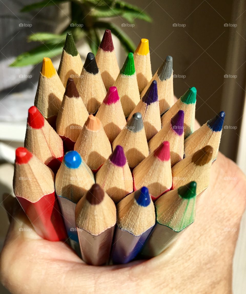 Person holding a bunch of colored pencils