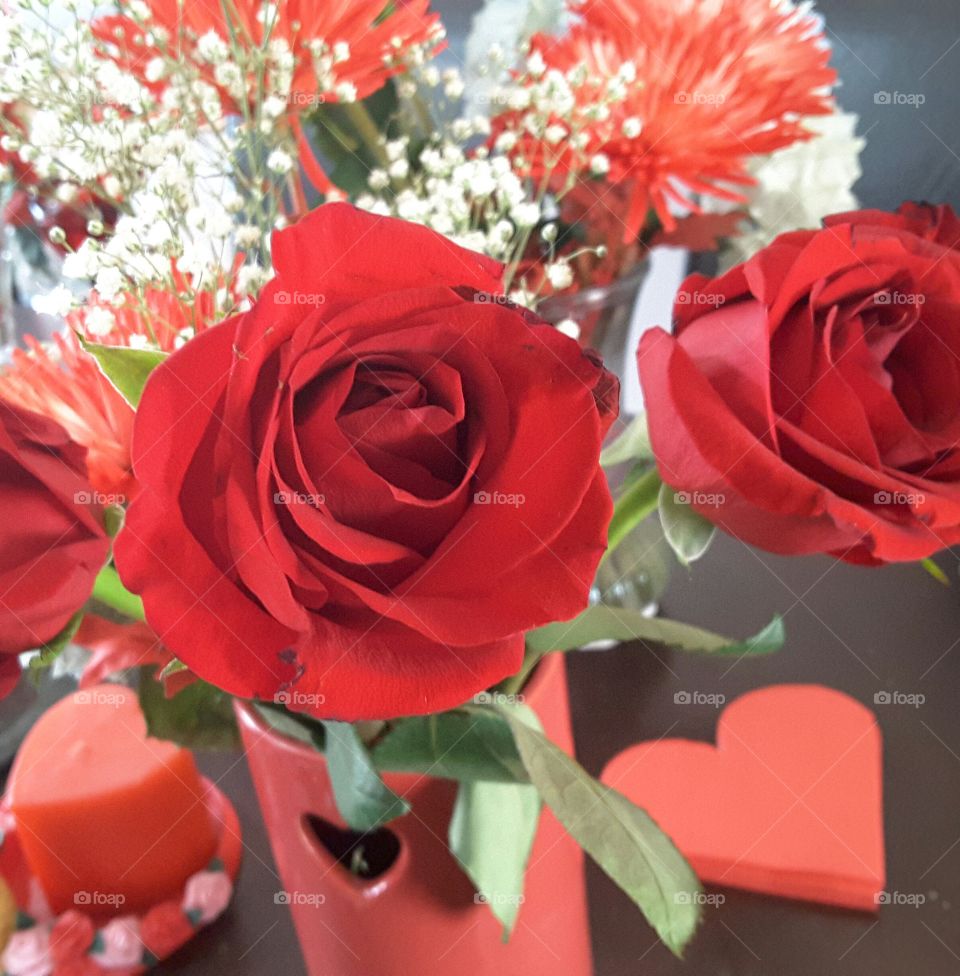 Red Roses for Love
