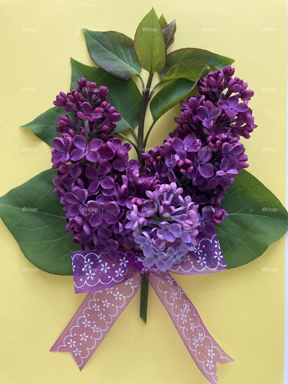 bouquet of lilac