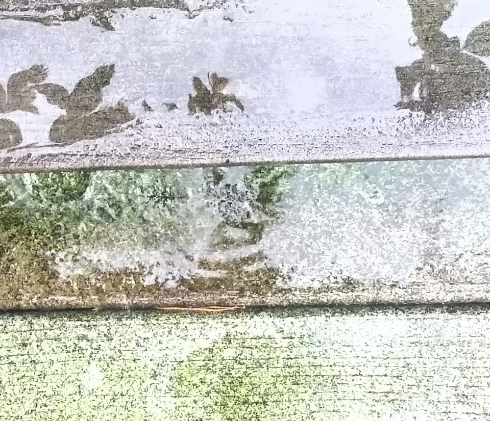rainy boards reflecting leaves