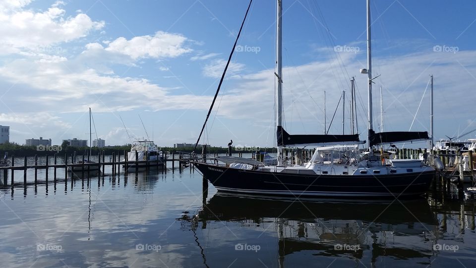 Marina in the morning