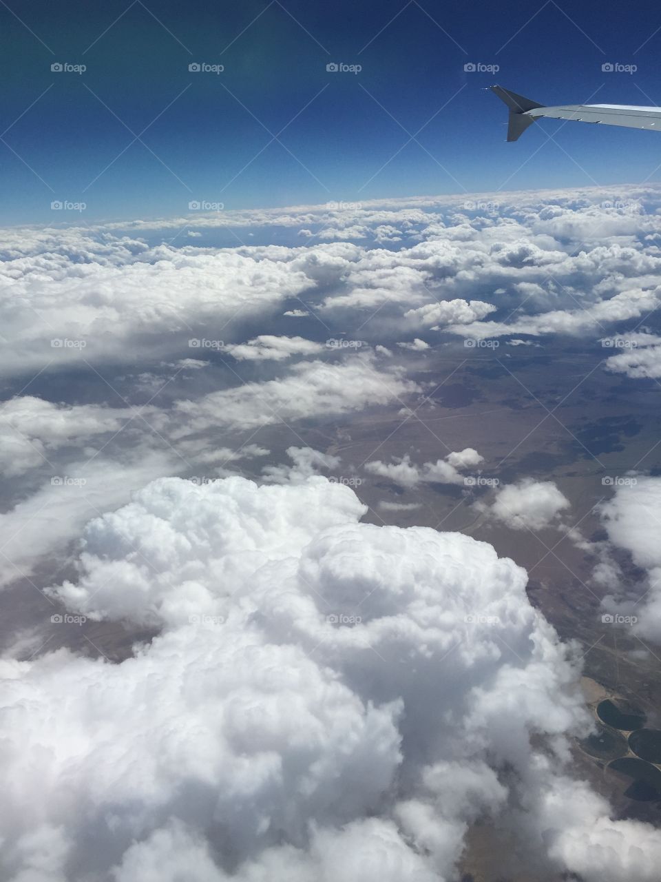 In the clouds