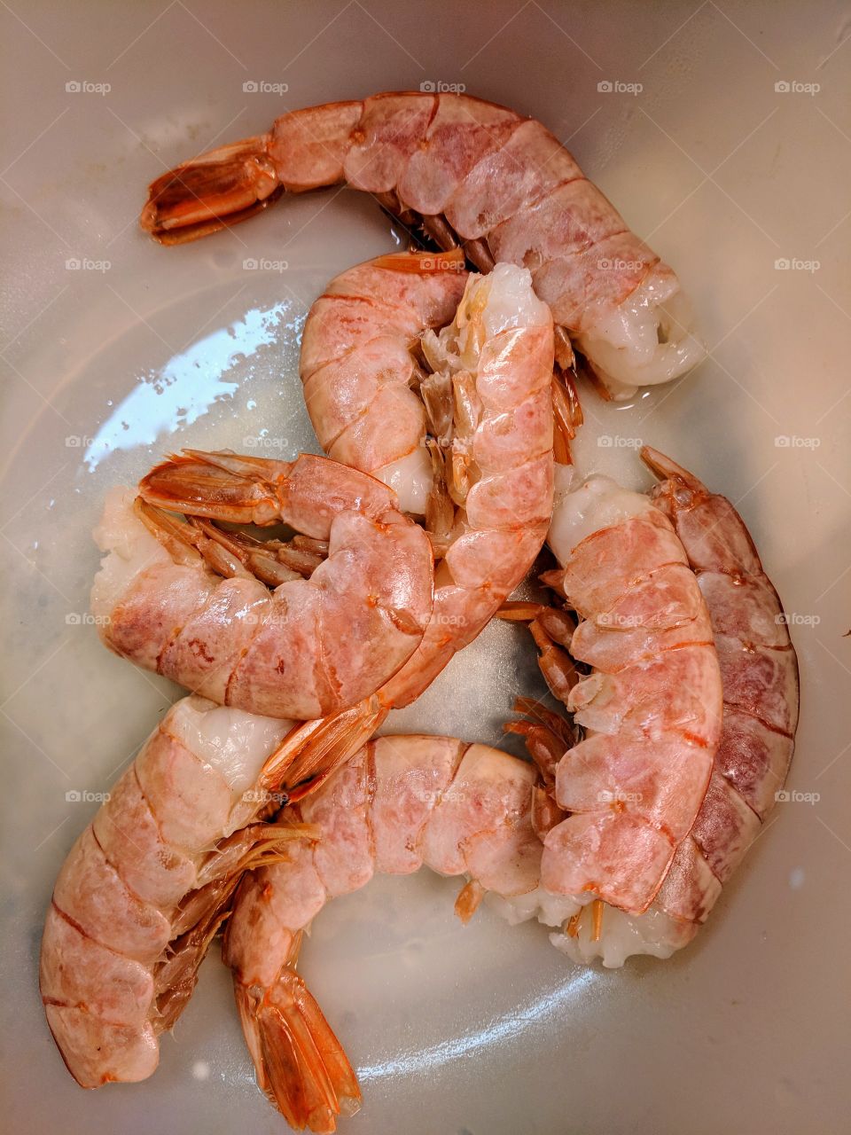 pink shrimp