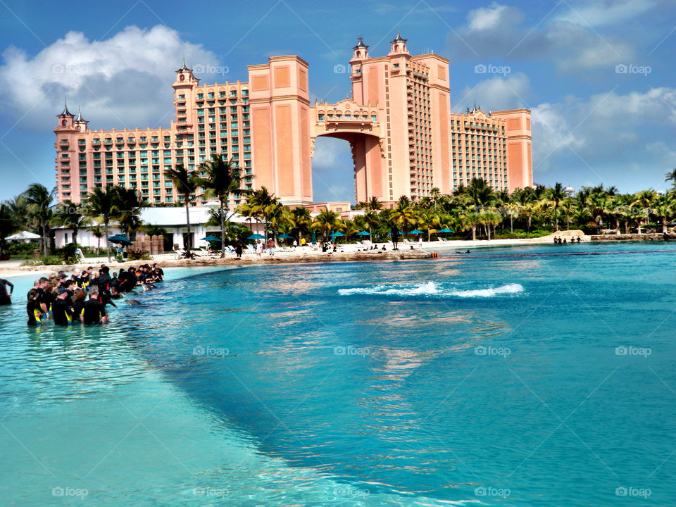 beach ocean hotel sea by wfullerton