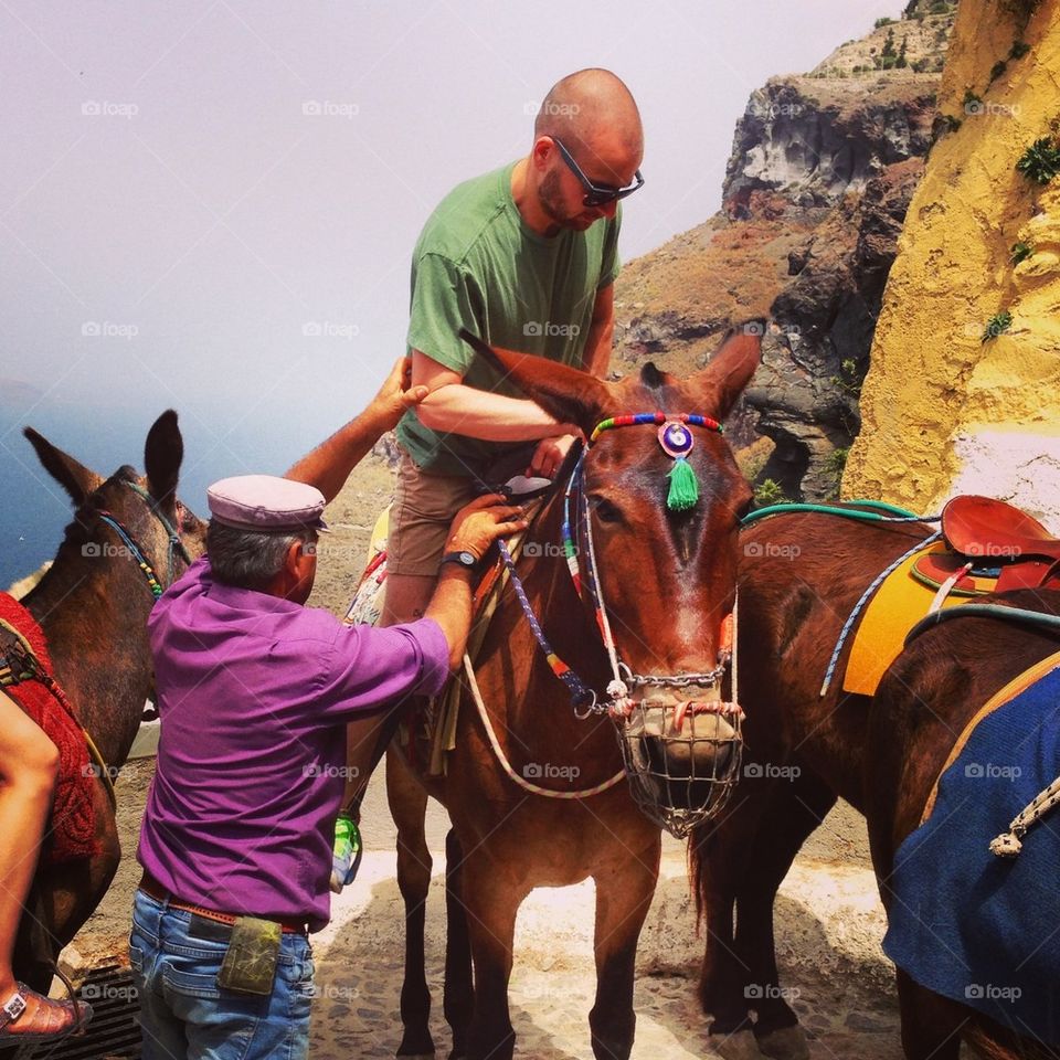 Mules of Santorini