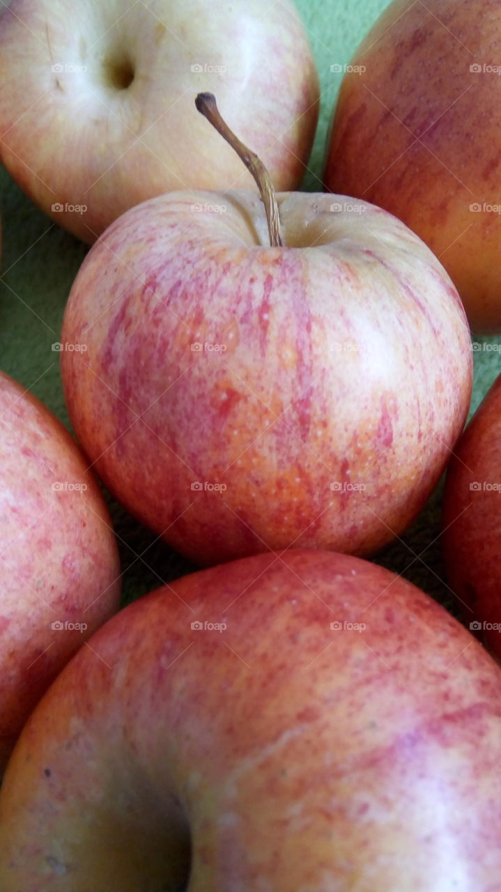 pink apples fruits  close up