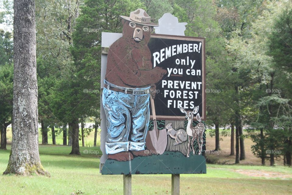 Shawnee national forest, smoky the bear