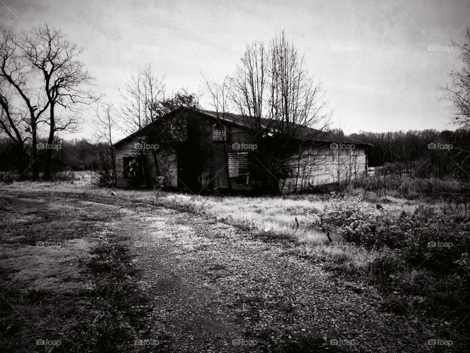 A B&W photo of an old milk barn that has been taken over by nature stands eerily in rural central Arkansas