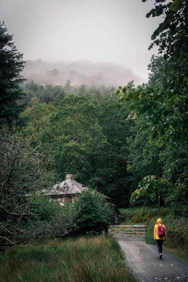 Rural