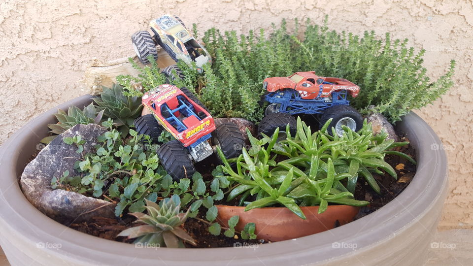 Monster Truck Garden