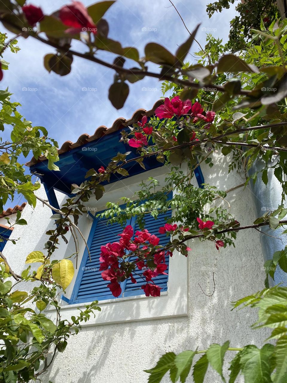 Cute Greek style white and blue house in flowers