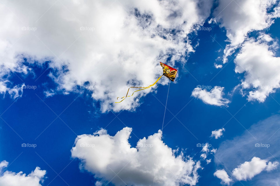 Kite high in a blue summer sky