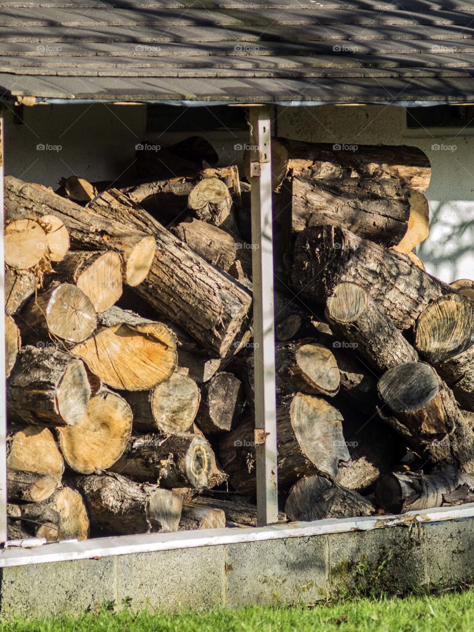 Logs. Firewood