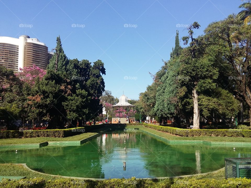 Jardim da Praça da Liberdade - Belo Horizonte MG