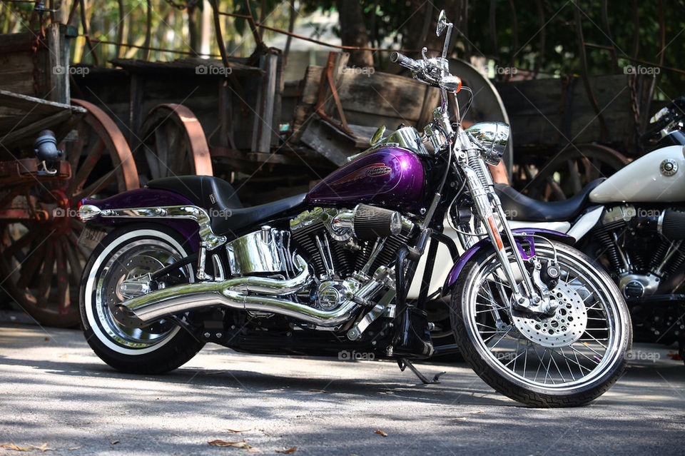 Harley Davidson custom bike