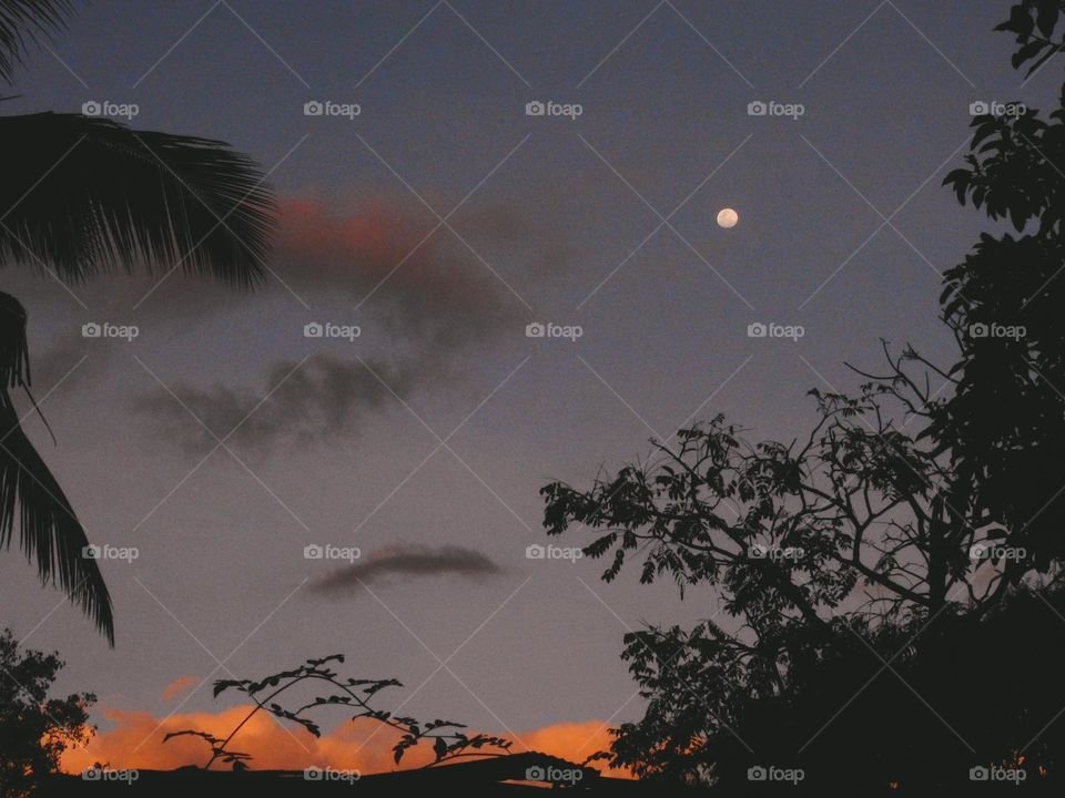 Evening Sky with moon