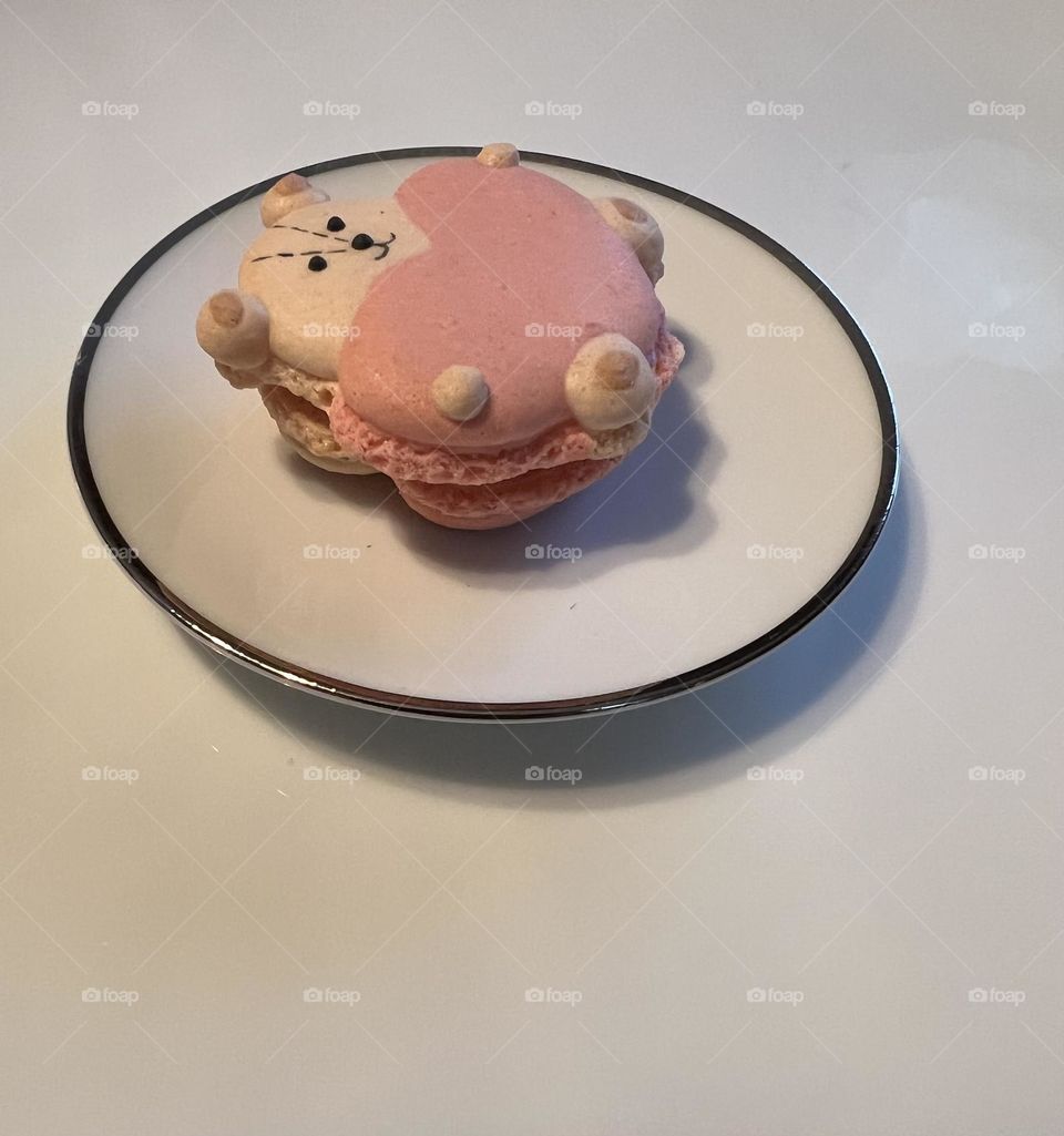 Macaroon 