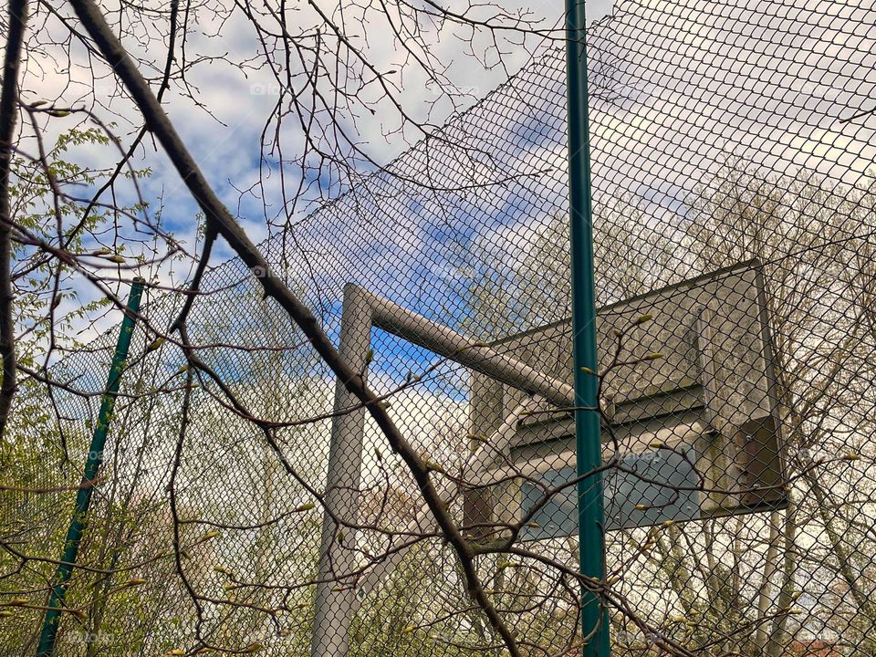 Rear view of a basketball hoop behind a fence between trees